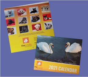 Marcia Perry Helen Plemmons - 2021 Knolls of Oxford Pet Calendar